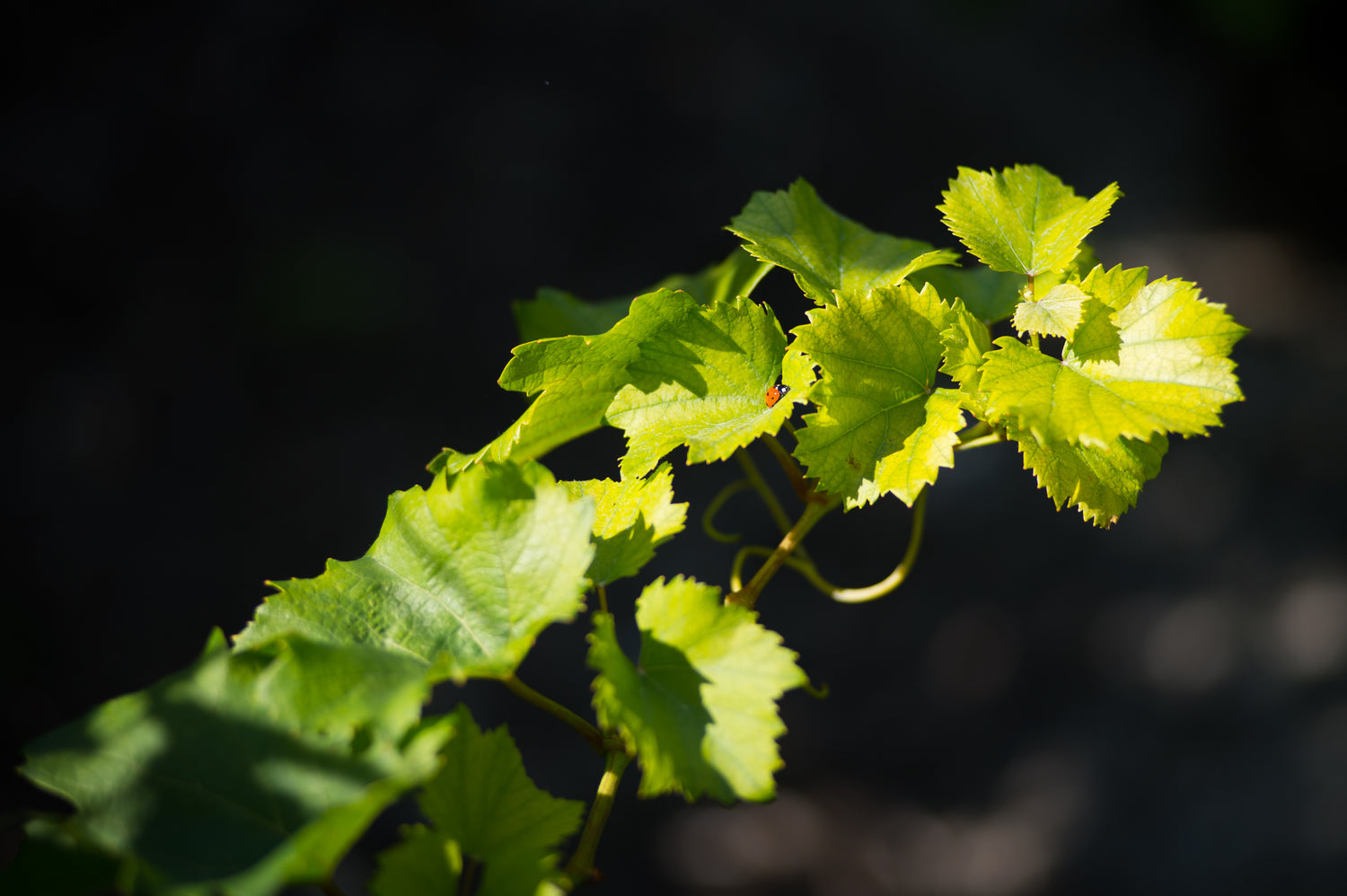 Ausgezeichnete Produkte
